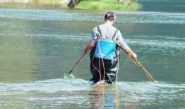 东风水库爆料视频大全最新,揭秘水库神秘面纱