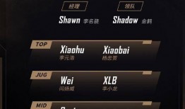 rng新赛季阵容爆料最新,新成员加盟，实力升级再战巅峰！