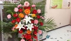 唐山花店爆料案件最新,揭开背后惊人真相