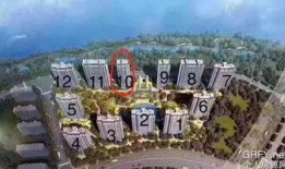 建德房产爆料事件最新,揭露行业乱象，业主维权之路何去何从？