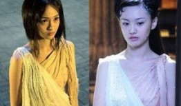 刘亦菲郑爽最新爆料,娱乐圈风云再起，真相揭秘！