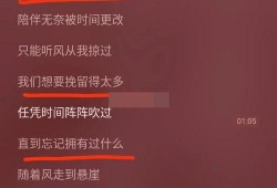 分手爆料视频大全最新版,揭秘情感裂痕背后的真相