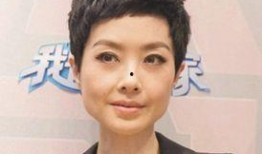 鲁豫最新爆料,揭秘娱乐圈不为人知的幕后故事