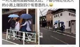 潮印天下最新爆料,最新爆料背后的惊人真相