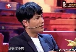 黄毅趣事爆料大全最新消息,最新独家揭秘，笑料连连！