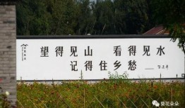 遵化吧最新爆料,揭秘重大事件背后真相！