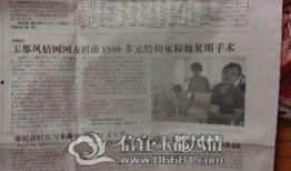 信宜最新爆料新闻报道,揭秘背后惊人真相！