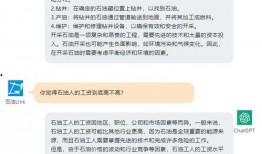 中石化最新爆料,行业变革背后的关键动态与战略布局