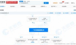 辛巴品牌爆料最新消息,揭秘神秘新品，引领潮流新风尚！