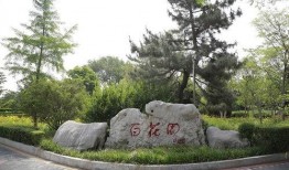 临沂公园爆料最新消息,神秘事件引发热议，真相即将揭晓！