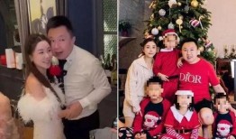 蔡天凤案最新爆料,惊人内幕曝光，真相令人震惊！”