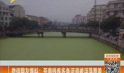 苍南钱库圈最新爆料,揭秘背后惊人真相