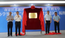 前湾新区爆料案件最新消息,案件进展及影响深度解析”