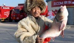 沈猛最新爆料胖头鱼,胖头鱼背后的惊人真相