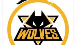 爆料狼队训练视频大全最新,全方位展示最新训练视频大全