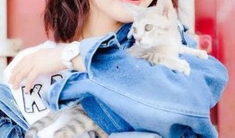 金晨李沁最新爆料,揭秘娱乐圈背后的真相与情感纠葛