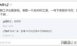 中石化最新爆料,行业变革背后的关键动态与战略布局