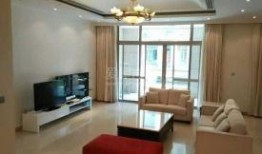 浦东新高苑最新爆料消息